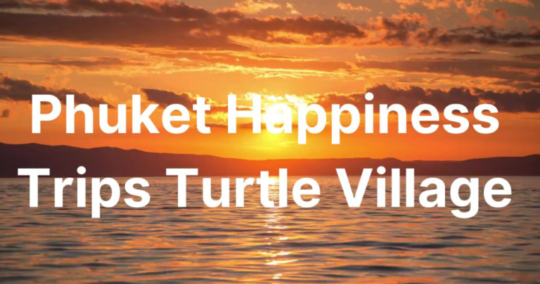 phuket happiness trips turtle village